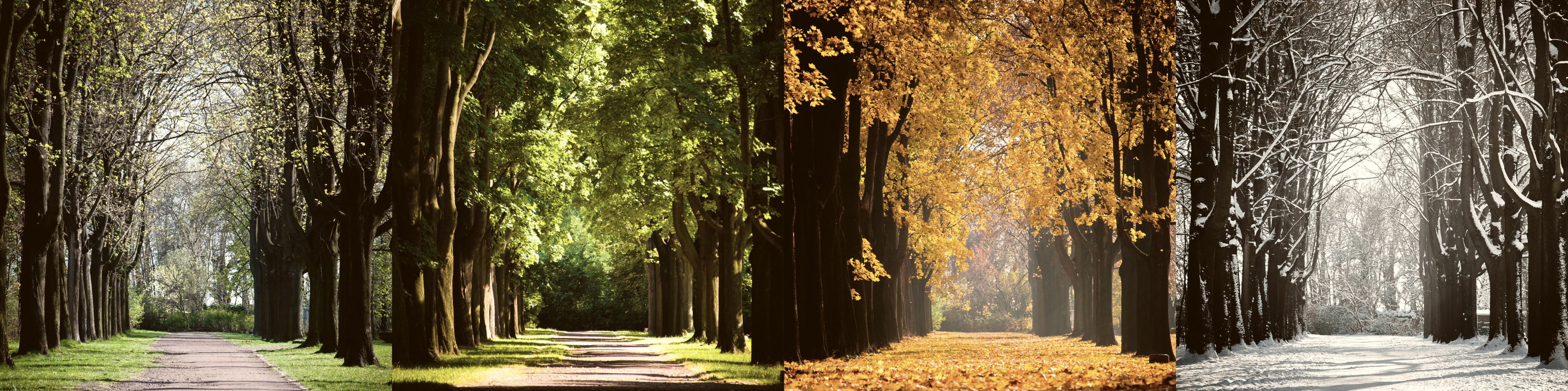 Seasonal Picks