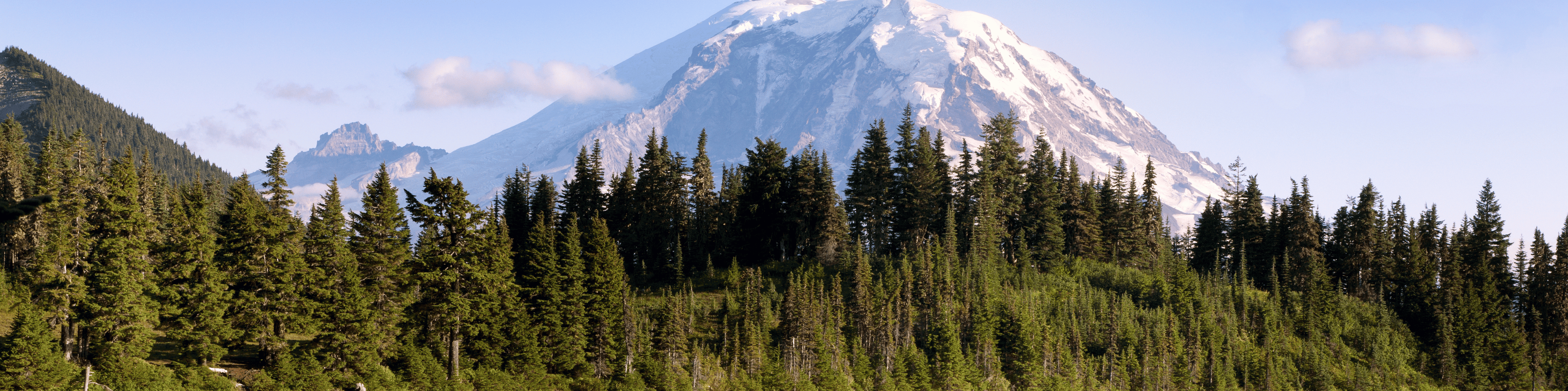 Washington